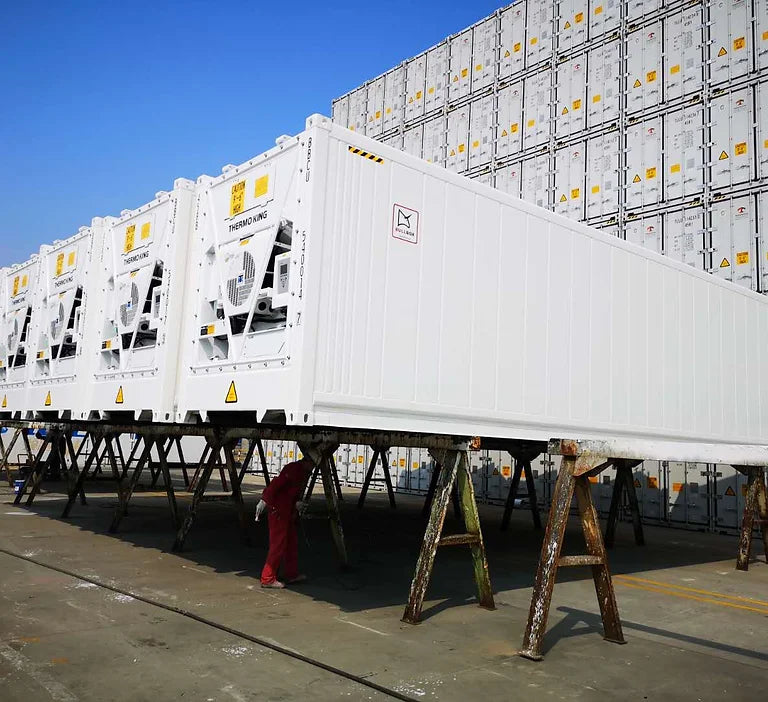 Contenitore Frigorifero Reefer 40 Piedi High Cube